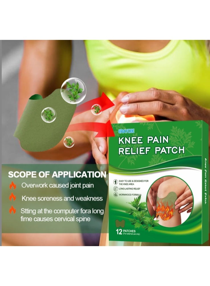 ERAYCEE 12pcs Natural Wormwood Self-Heating Pads Instant Relief from Pain Plasters Can Effectively Promote Blood Circulation and Relieve Joint Pain Promotes Blood Circulation for Knee, Back, Neck - Image 3